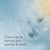 image:imageLeisure Time 45450A Jet Clean Spa Cleaner for Spas and Hot Tubs 1Pint1Pack