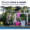 image:imageHTH 52036R Pool Care Shock Advanced Swimming Pool Chemical  Cal Hypo Formula Prevents Bacteria amp Algae Restores Crystal Clear Water  Shock Treatment 6 Pack24 Pack