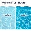 image:imageHTH 67067 Swimming Pool Care Clarifier Advanced  Crystal Clear Water in 24 Hours1 Count Pack of 1