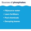 image:imageHTH 67069 Swimming Pool Care Phosphate Remover  Clears Cloudy Water and Prevents Algae Growth
