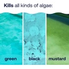 image:imageHTH 67089 Swimming Pool Care Algae Guard Ultra Swimming Pool Chemical Long Lasting Formula 32 fl ozGuard Ultra