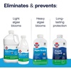 image:imageHTH 67089 Swimming Pool Care Algae Guard Ultra Swimming Pool Chemical Long Lasting Formula 32 fl ozGuard Ultra