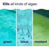 image:imageHTH 67244 Swimming Pool Care Algae Guard Ultra  Long Lasting Formula Eliminates amp Prevents Green Black and Mustard Algae Fast Acting amp Effective Swimming Pool Chemical 32oz