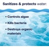 image:imageHTH Spa 86134 Clear Chlorinating Sanitizer Spa amp Hot Tub Chemical Controls Bacteria and Algae 225 lbsNo Size Pack of 6