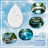 image:imageSpaPure pH Down 24 Oz Includes My Garden Pool 20 Ct Test Strips amp Scum Sponge  Lowers pH amp Alkalinity for Balanced Clear Spa Water